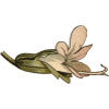 Flor 2 - Ilustracion decorativa